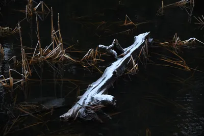 DSC_5808 (Large).JPG